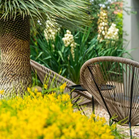 Palm Garden 2