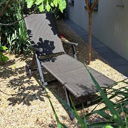 Palm Garden 2 ミクロフ
